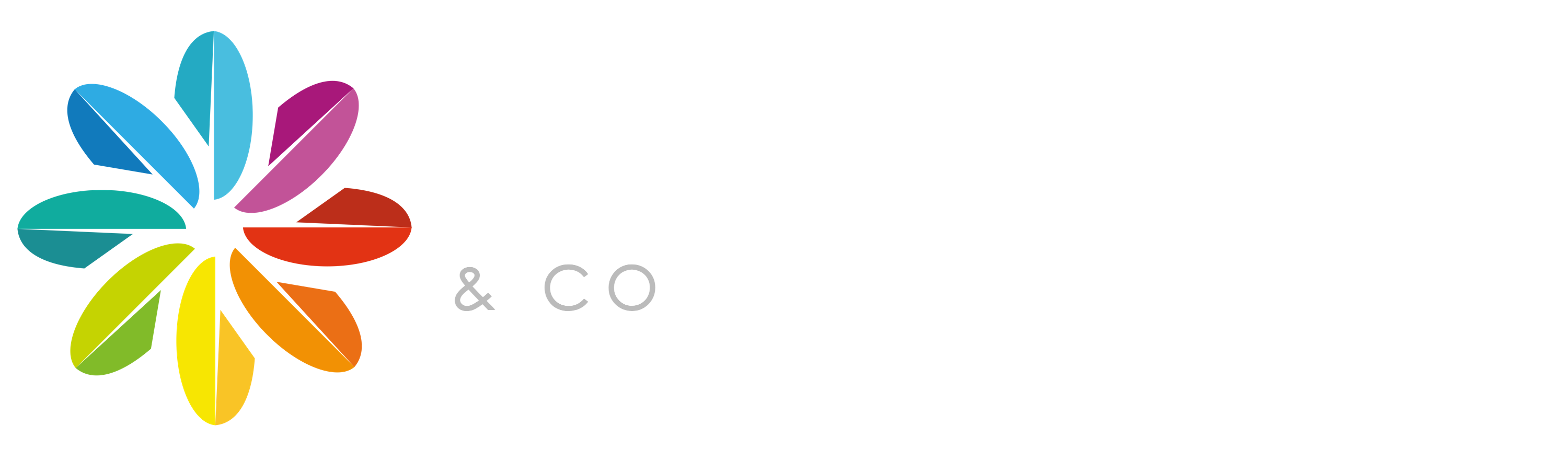 Castle Care & Co